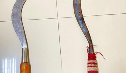 IMG 20260924 WA0056