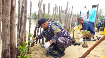 Posbinter Lobam Bersinergi Dengan PT. BIIE Tanam Mangrove, Wujud Kepedulian Terhadap Kelestarian Ekosistem Pesisir Bintan